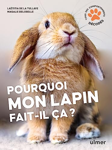 Pourquoi mon lapin fait-il ça ?
