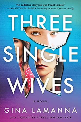 Three Single Wives: A Novel von Sourcebooks Explore