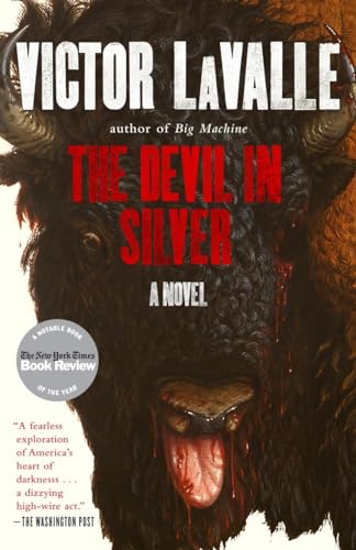 The Devil in Silver: A Novel