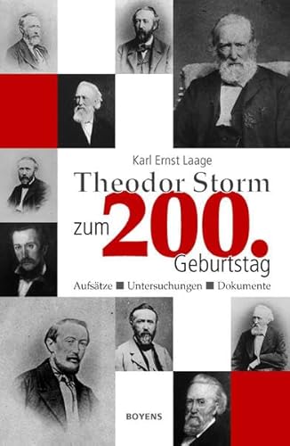 Theodor Storm zum 200. Geburtstag: Aufsätze, Untersuchungen, Dokumente von Boyens Buchverlag
