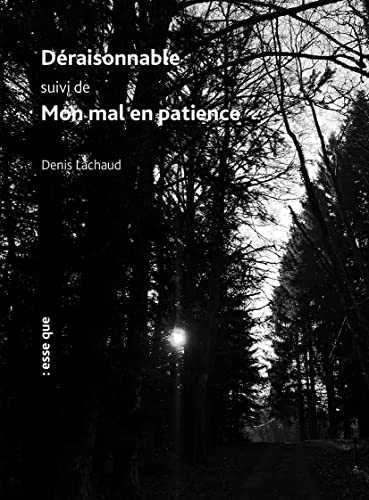 Déraisonnable, suivi de, Mon mal en patience von ESSE QUE
