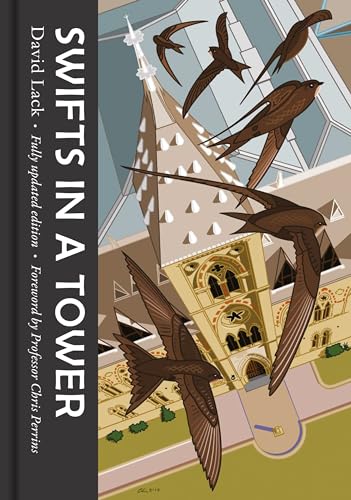 Swifts in a Tower von Unicorn Publishing Group