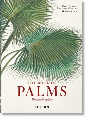 Martius. The Book of Palms. 40th Ed. von TASCHEN