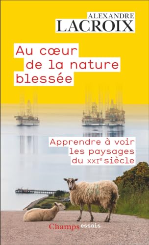 Au coeur de la nature blessée: Apprendre à voir les paysages du XXIᵉ siècle von FLAMMARION