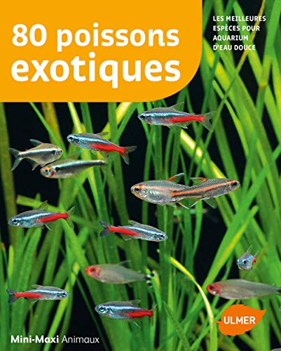 80 poissons exotiques: Les meilleures espèces pour aquarium d'eau douce