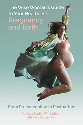 The Wise Woman's Guide to Your Healthiest Pregnancy and Birth: From Preconception to Postpartum von Health Communications Inc