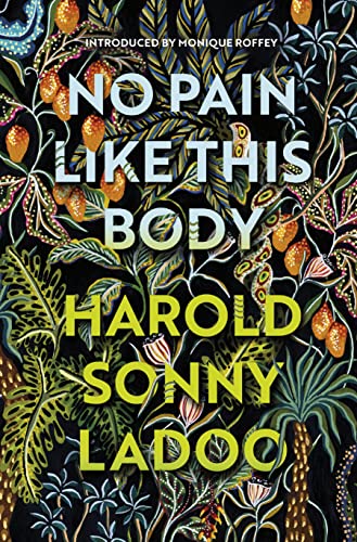 No Pain Like This Body: The forgotten classic masterpiece of Trinidadian literature von Vintage Classics