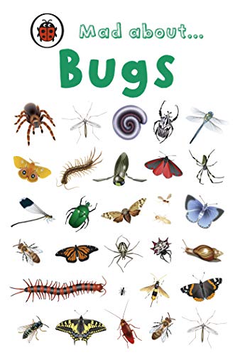 Mad About Bugs Mad About Bugs von Ladybird