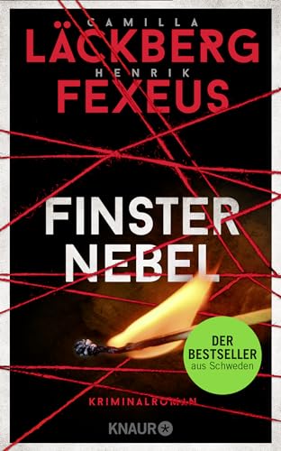 Finsternebel: Kriminalroman | Der Bestseller aus Schweden