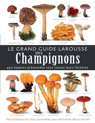 Le grand guide Larousse des champignons von LAROUSSE