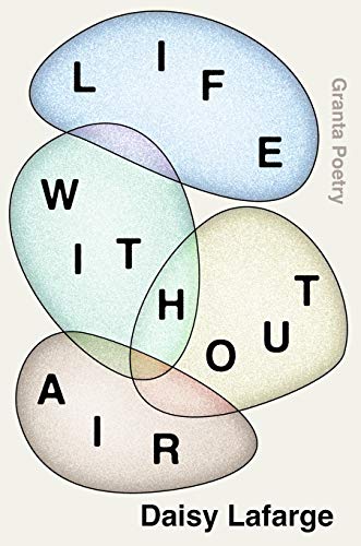 Life Without Air von Granta Books