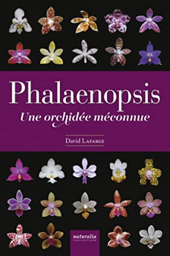 Phalaenopsis - Une orchidée méconnue von NATURALIA