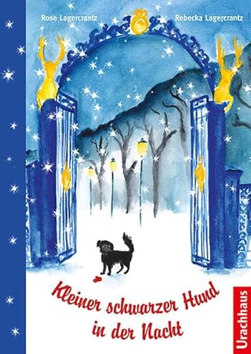 Kleiner schwarzer Hund in der Nacht Kleiner schwarzer Hund in der Nacht