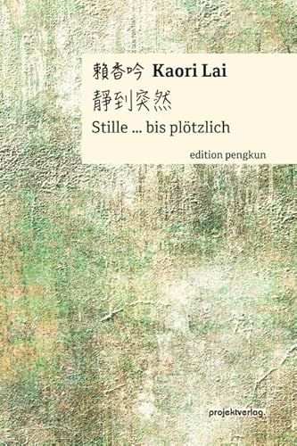 Stille … bis plötzlich (Edition pengkun) von Projekt