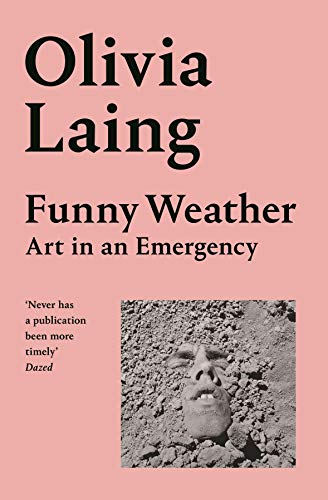 Funny Weather: Art in an Emergency von Picador