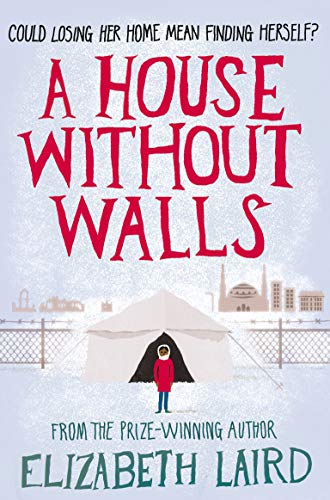 A House Without Walls von Macmillan Children's Books