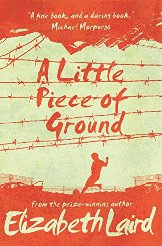 A Little Piece of Ground: 15th Anniversary Edition von Macmillan Children's Books