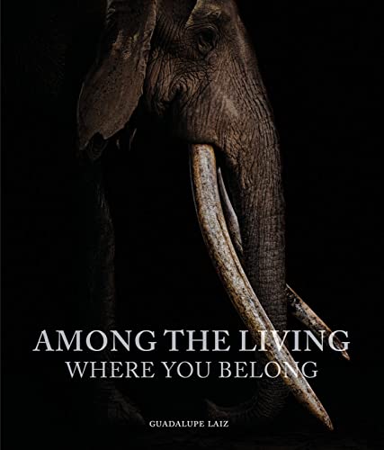 Among the Living: Where You Belong von Images Publishing Group Pty Ltd