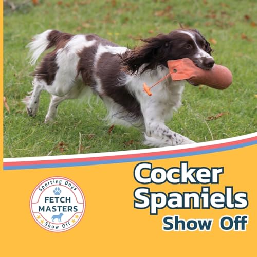 Cocker Spaniels Show Off (Fetch Masters: Sporting Dogs Show Off, Band 1) von Xist Publishing