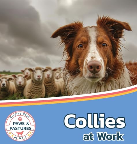 Collies at Work (Paws and Pastures: Herding Dogs at Work, Band 2) von Xist Publishing
