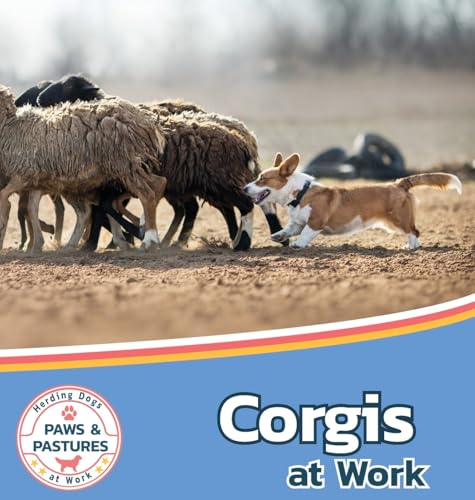 Corgis at Work (Paws and Pastures: Herding Dogs at Work, Band 3) von Xist Publishing