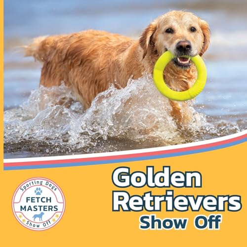 Golden Retrievers Show Off (Fetch Masters: Sporting Dogs Show Off, Band 2) von Xist Publishing