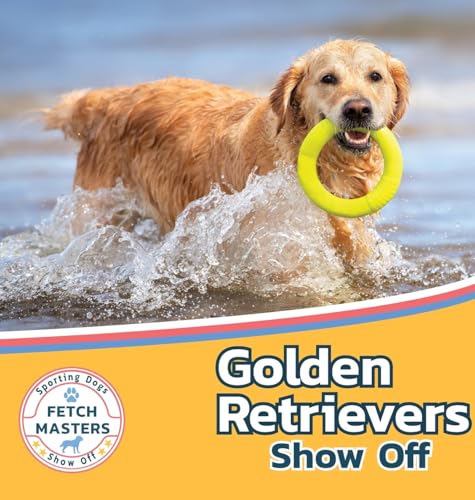 Golden Retrievers Show Off (Fetch Masters: Sporting Dogs Show Off, Band 2)