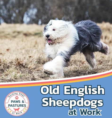Old English Sheepdogs at Work (Paws and Pastures: Herding Dogs at Work, Band 4) von Xist Publishing