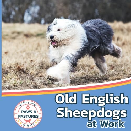 Old English Sheepdogs at Work (Paws and Pastures: Herding Dogs at Work, Band 4) von Xist Publishing