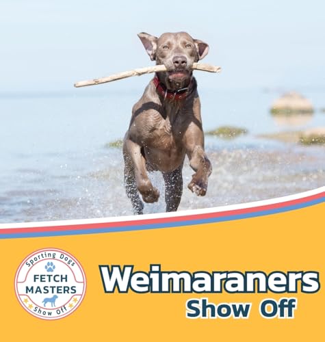 Weimaraners Show Off (Fetch Masters: Sporting Dogs Show Off, Band 4)