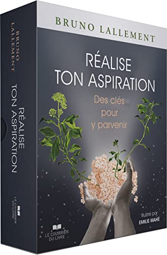 Coffret Réalise ton aspiration - Des clés pour y parvenir: Des clefs pour y parvenir von COURRIER LIVRE