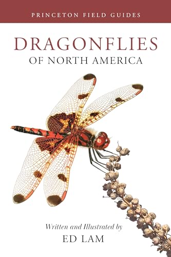 Dragonflies of North America (Princeton Field Guides, 167) von Princeton University Press
