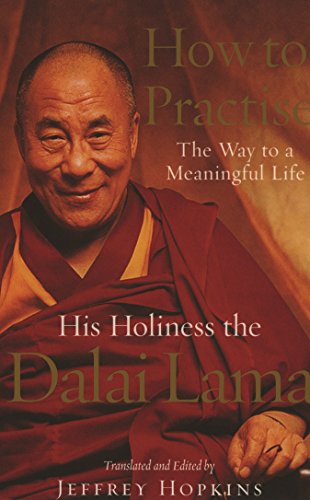 How To Practise: The Way to a Meaningful Life von Rider