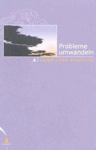 Probleme umwandeln: Wie du glücklich sein kannst, wenn du es nicht bist: Wie du glücklich sein kannst, wenn du es nicht bist. Eine Unterweisung auf ... u. Robina Courtin. Einf. v. Sylvia Wetzel