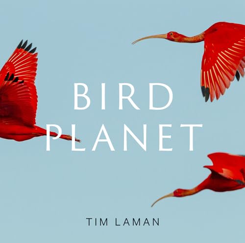 Bird Planet: A Photographic Journey