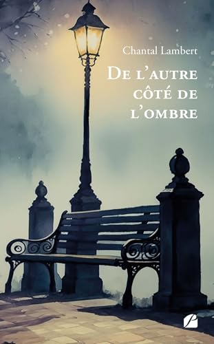 De l’autre côté de l’ombre von Les Éditions du Panthéon