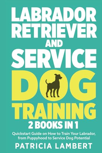 Labrador Retriever And Service Dog Training: 2 in 1 - Quickstart Guide on How to Train Your Labrador, from Puppyhood to Service Dog Potential (Smart Dog Training, Band 3) von Independently published