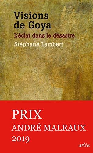 Visions de Goya: L'éclat dans le désastre