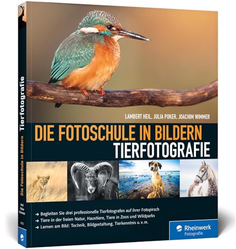 Die Fotoschule in Bildern. Tierfotografie: Expertenwissen zu faszinierenden Tieraufnahmen von Rheinwerk Verlag GmbH