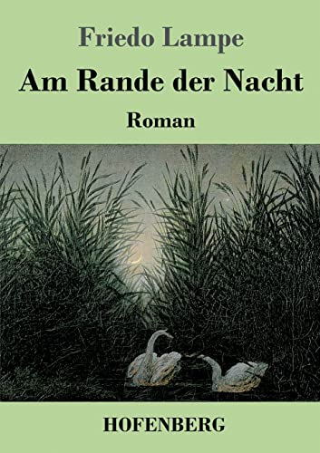 Am Rande der Nacht: Roman
