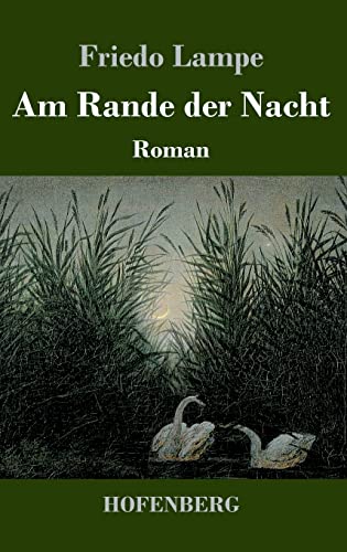 Am Rande der Nacht: Roman