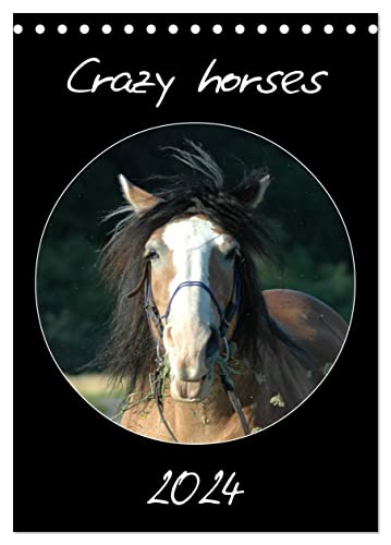 Crazy horses (Tischkalender 2024 DIN A5 hoch), CALVENDO Monatskalender