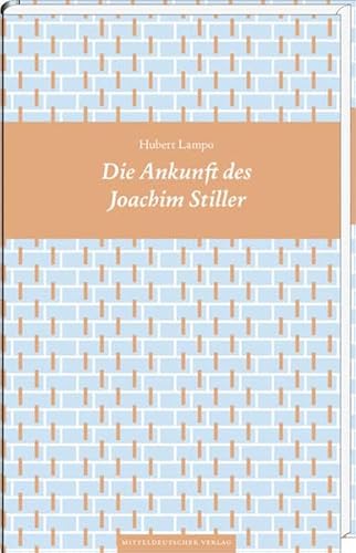 Die Ankunft des Joachim Stiller: Roman (Bibliothek der Entdeckungen)