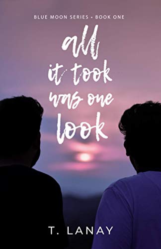 All It Took Was One Look (Blue Moon Series, Band 1) von BLVNP Incorporated