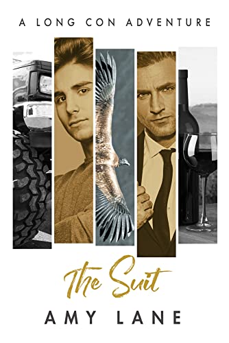 The Suit: Volume 4 (Long Con Adventures)