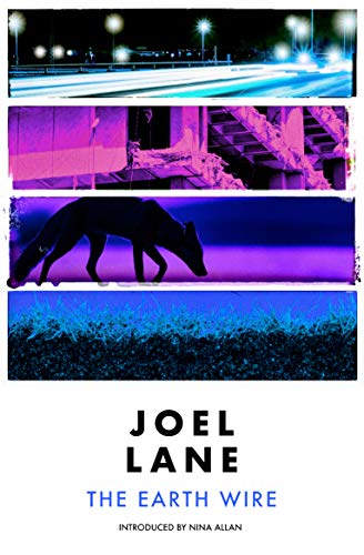 The Earth Wire von Influx Press