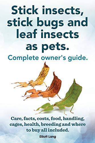 Stick insects, stick bugs and leaf insects as pets.: Stick insects care, facts, costs, food, handling, cages, health, breeding and where to buy all included. von Imb Publishing