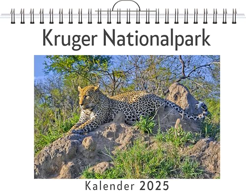 Kruger Nationalpark - (Wandkalender 2025, Kalender DIN A4 quer, Monatskalender im Querformat mit Kalendarium, das perfekte Geschenk) von FlipFlop