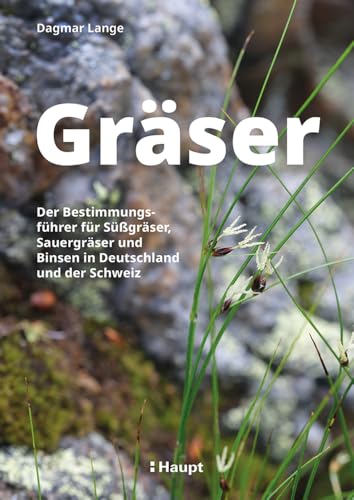 Gräser: Der Bestimmungsführer für Süßgräser, Sauergräser und Binsen in Deutschland und der Schweiz von Haupt Verlag