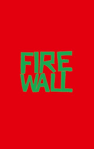 Firewall: Ein Jugendbuchthriller über Cybermobbing